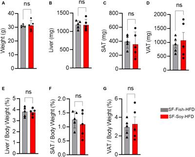 Soybean oil-based HFD induces gut dysbiosis that leads to steatosis, hepatic inflammation and insulin resistance in mice